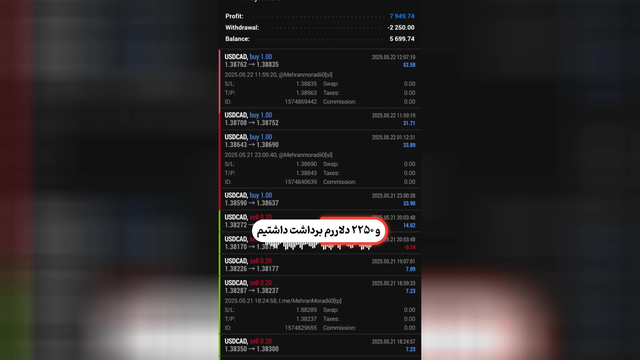 بهترین ربات معامله گر فارکس