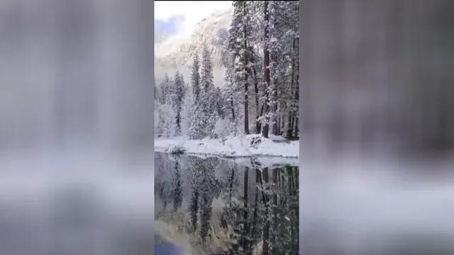 چهارفصل زیبا