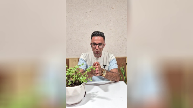 امید فردا