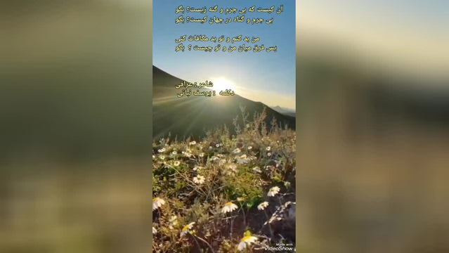 شاعرانه