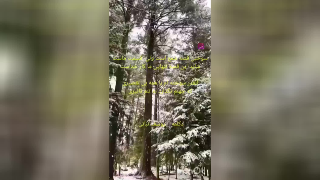 شاعرانه