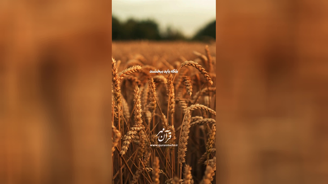 کلید بخشش گناه - سوره نور آیه 22 (قرآن مهر)