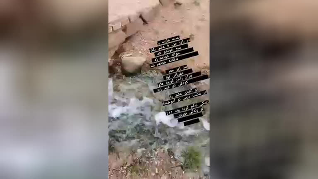 فاطمه سلیمانی آهو