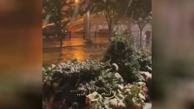 آرزوی خوب 🤗