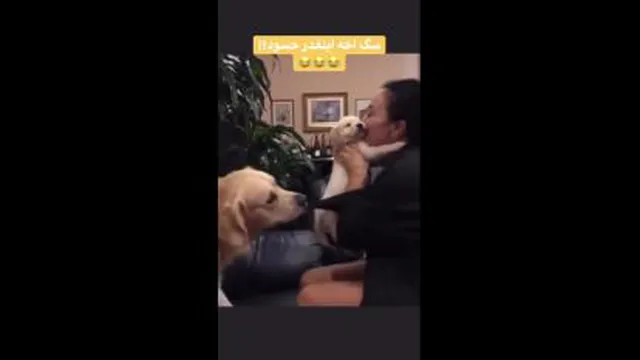 اوخی😍😍