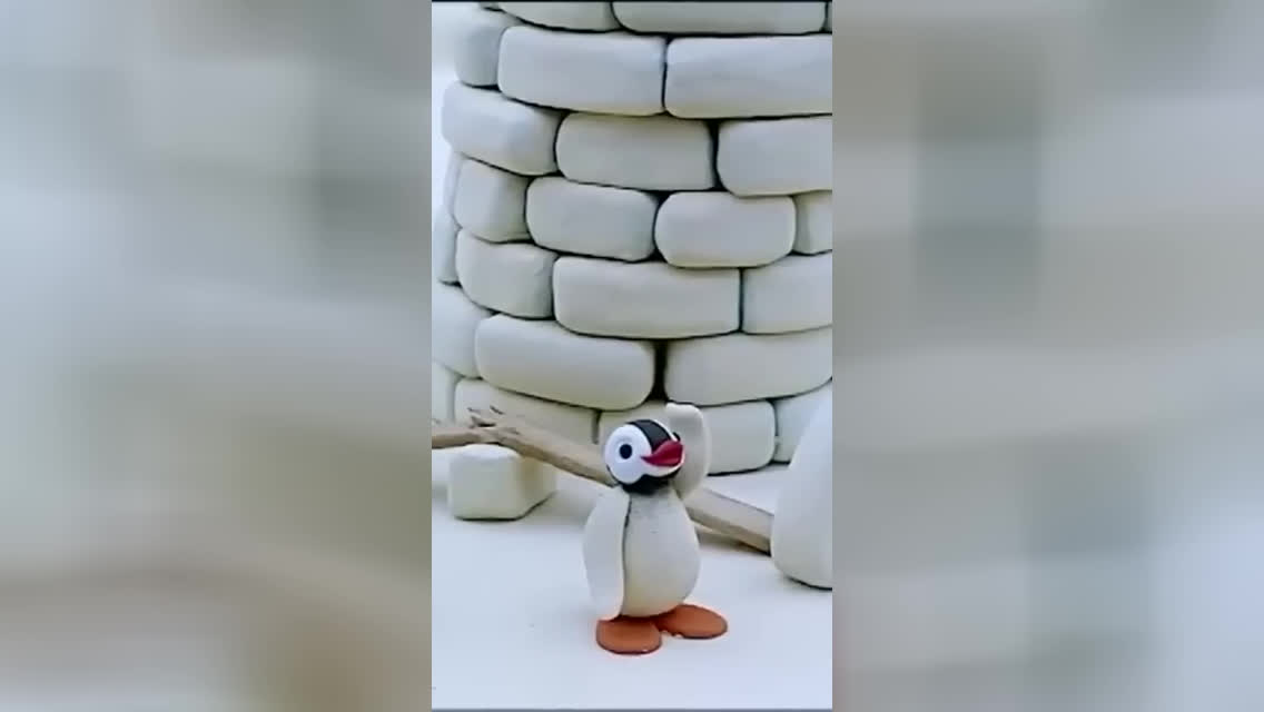 تغذیه حیوانات! 🐧 پینگو