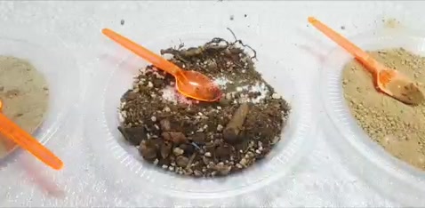 بهترین دبستان دخترانه تهران