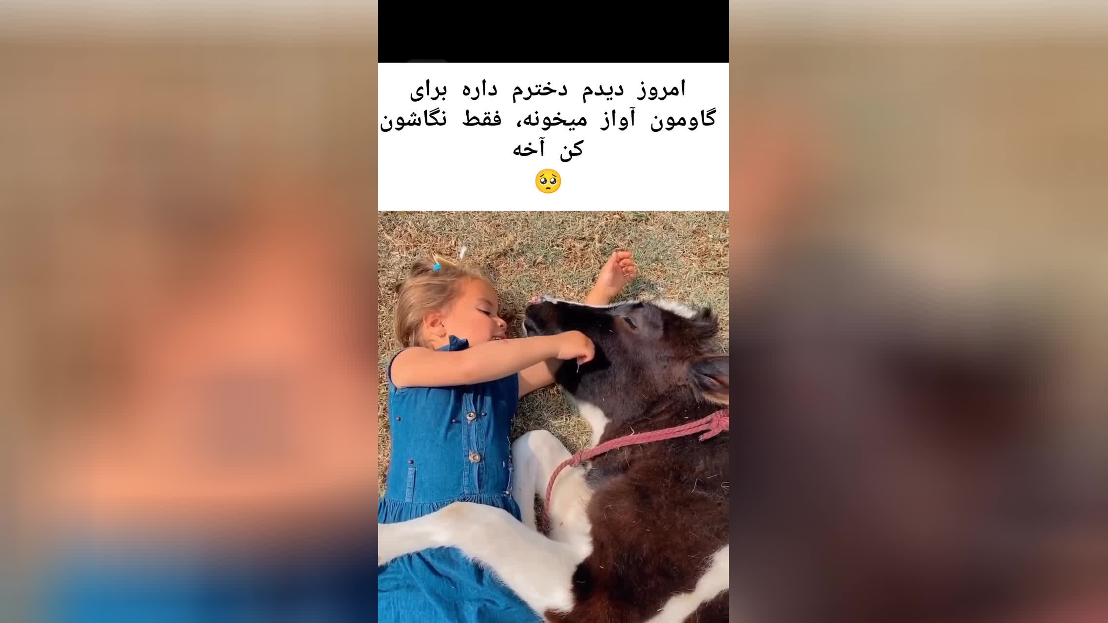 آخه نمیدونم چطور راضی کردش👌