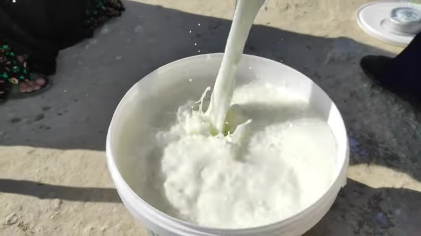 غذای عشایری در ایران؛ تهیه دوغ و کره از ماست محلی و پخت آش دوغ