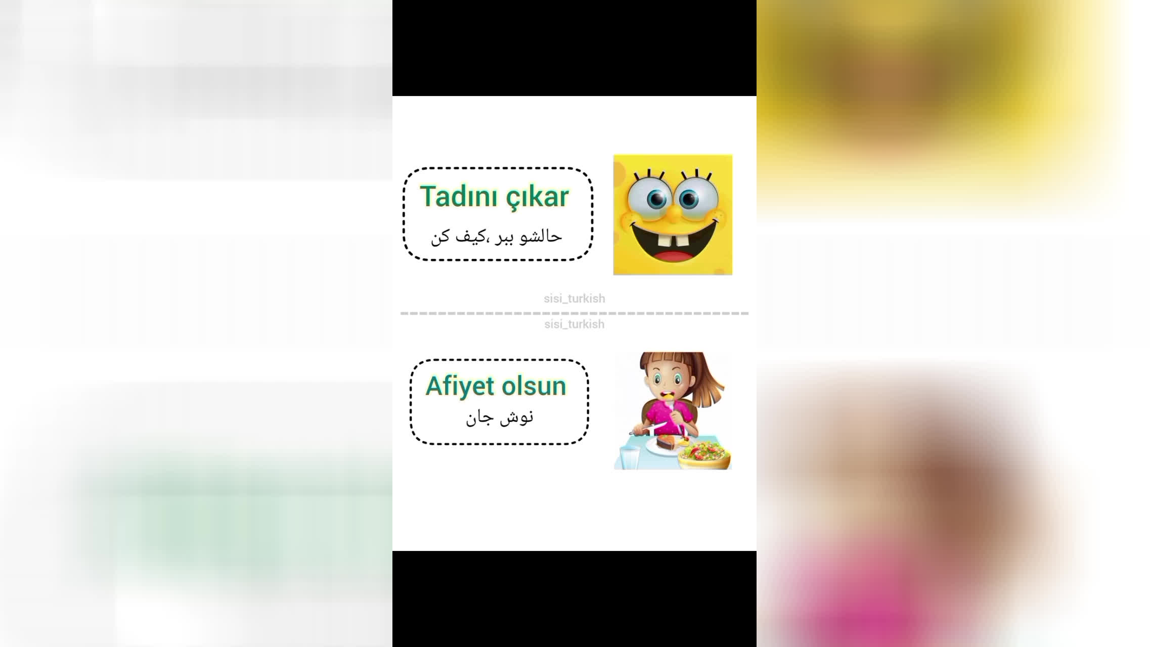 بهترین مدرس زبان ترکی استانبولی