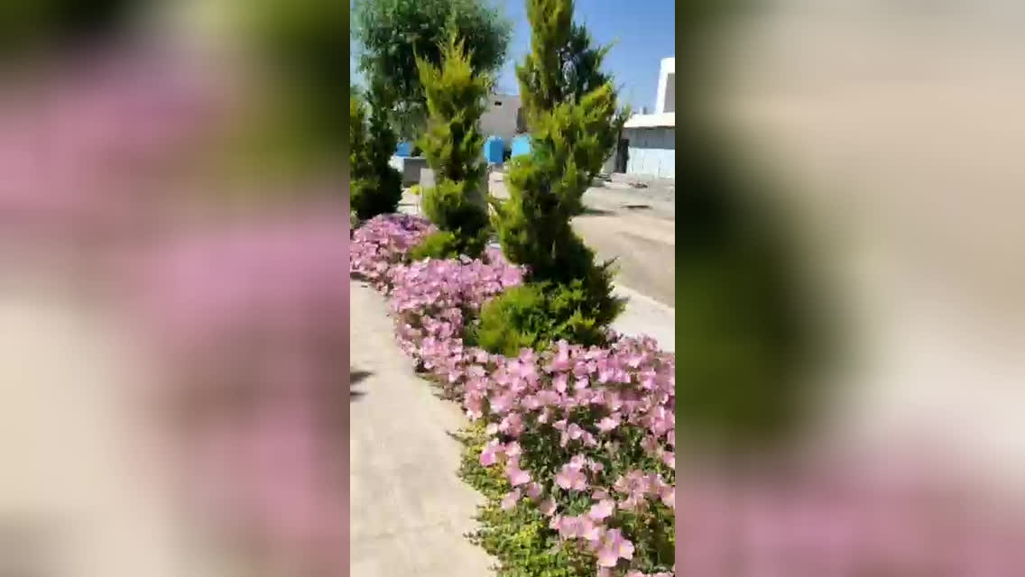 بهترین طراح فضای سبز در تهران و کرج