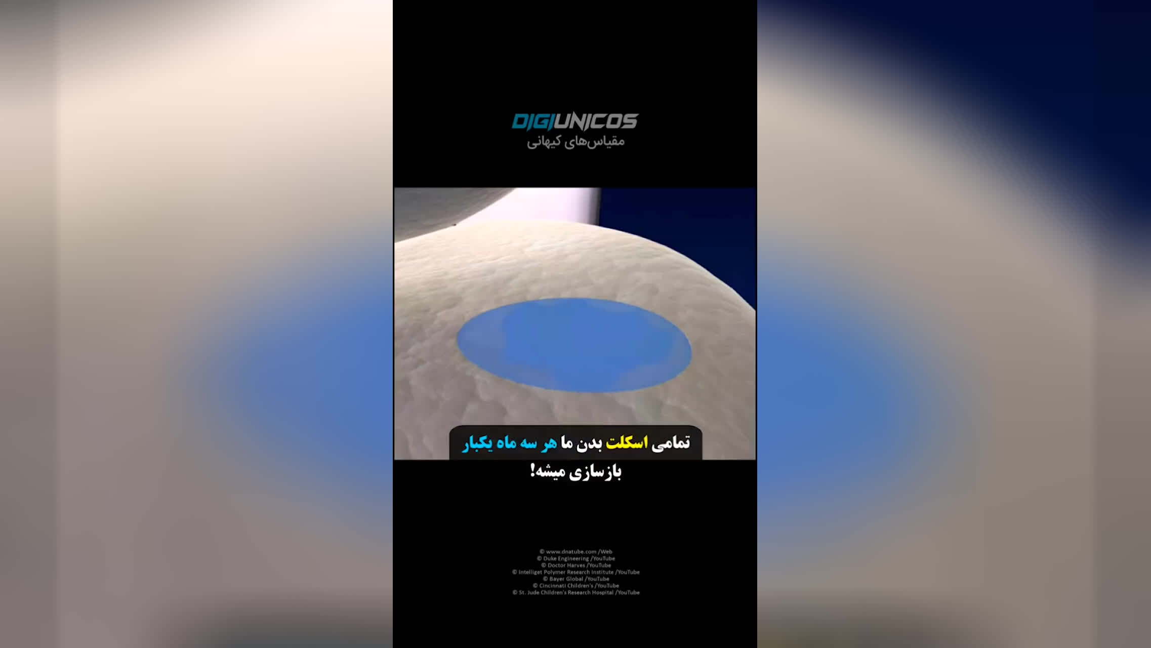 عجایب بدن انسان