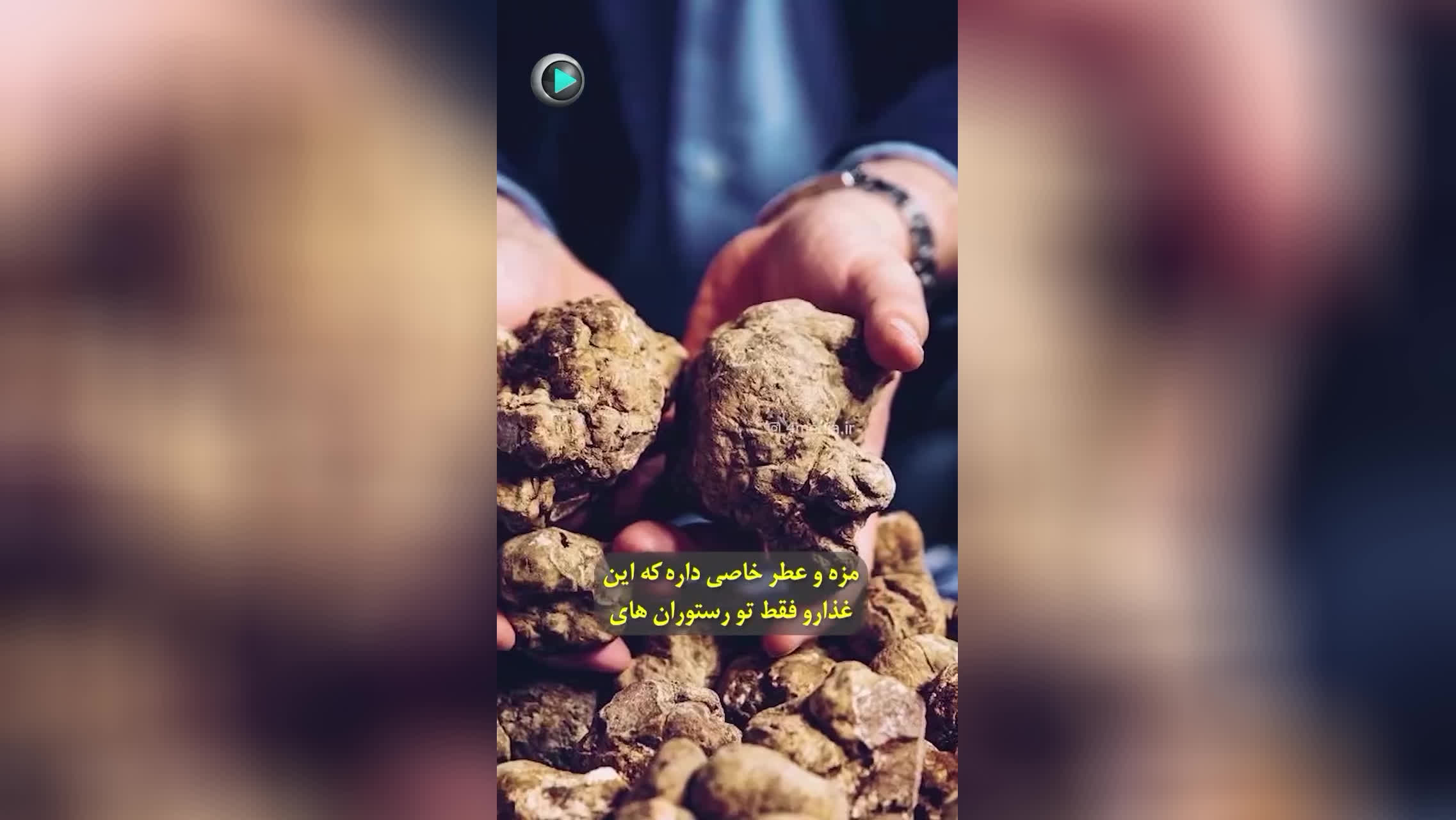 گرونترین مواد غذایی دنیا