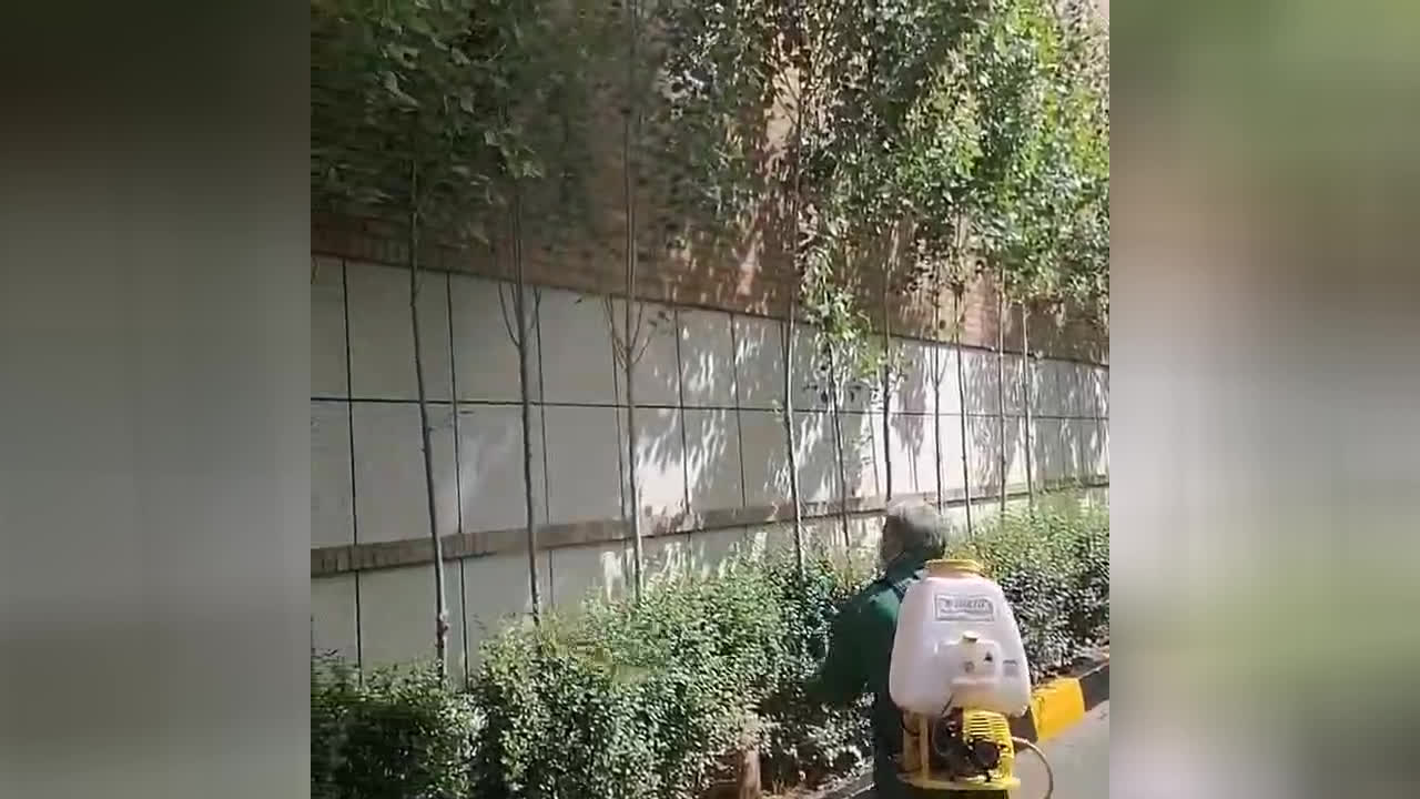 خدمات باغبانى در تهران
