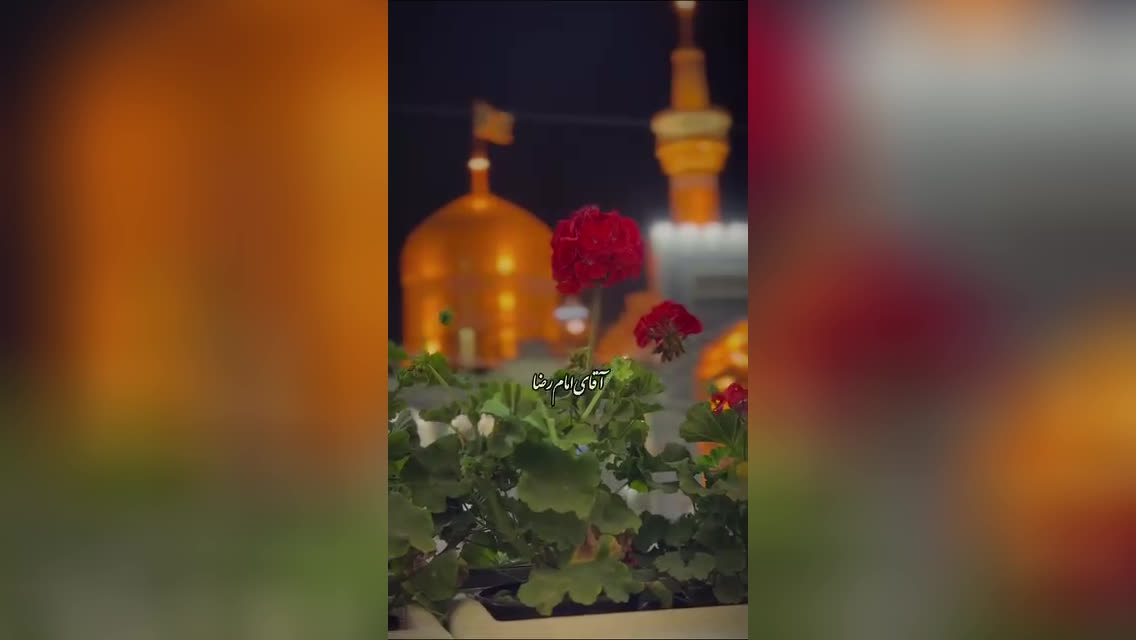 عاشقتم آقای مهربون # یا ضامن آهو...