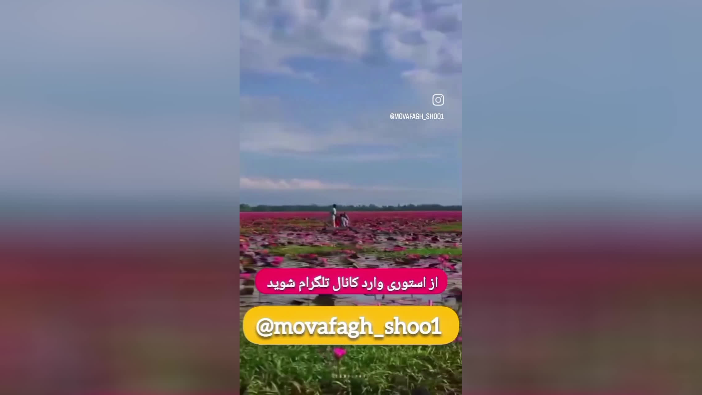 فرمون بده به خدا