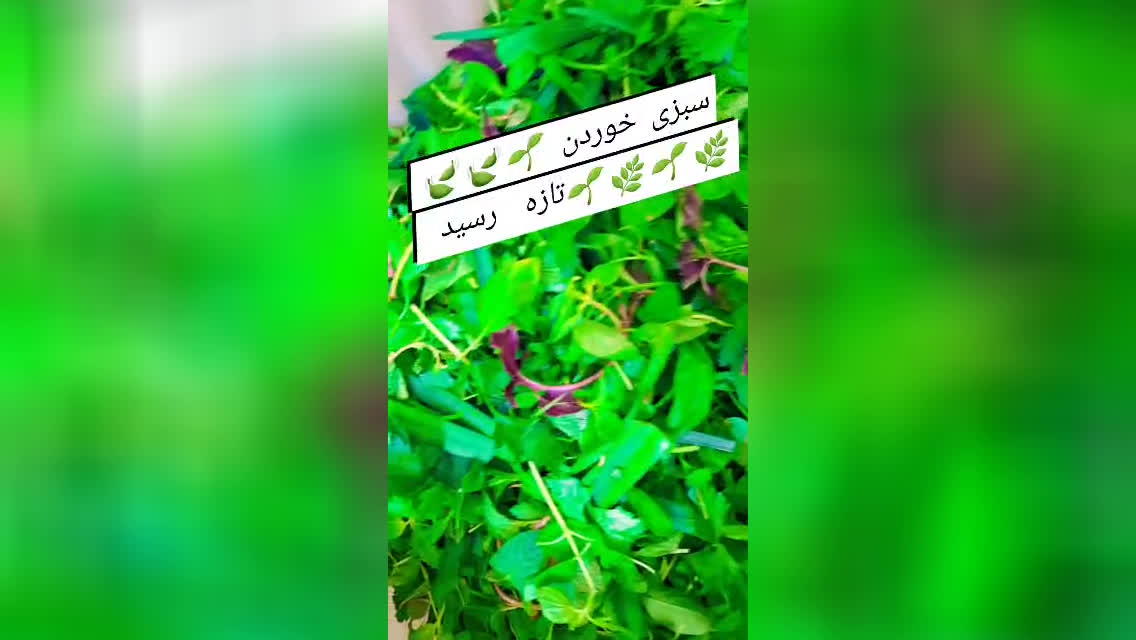 سبزی آماده
