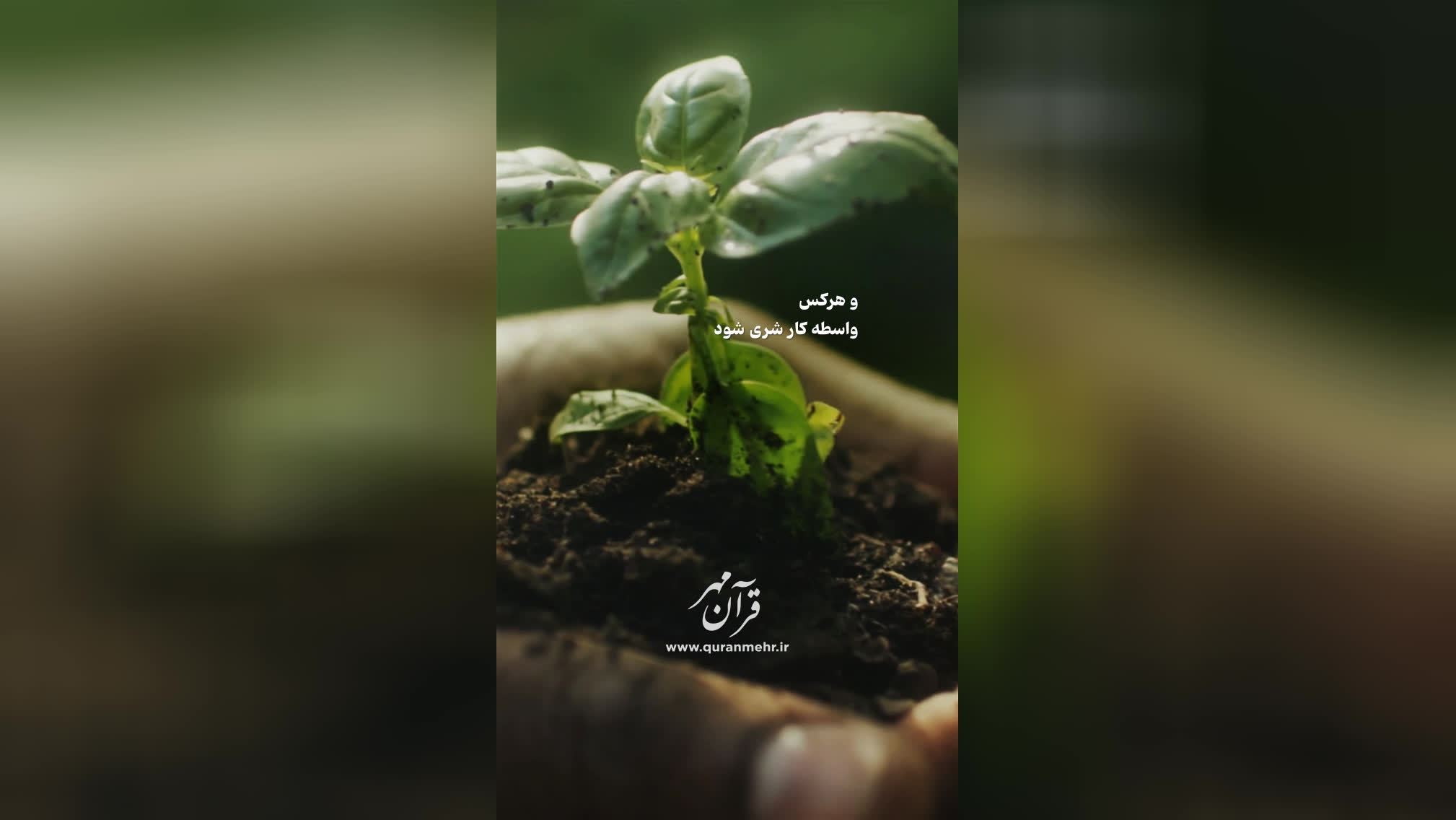 واسطه خیر و شر - سوره نساء آیه 85 (قرآن مهر)