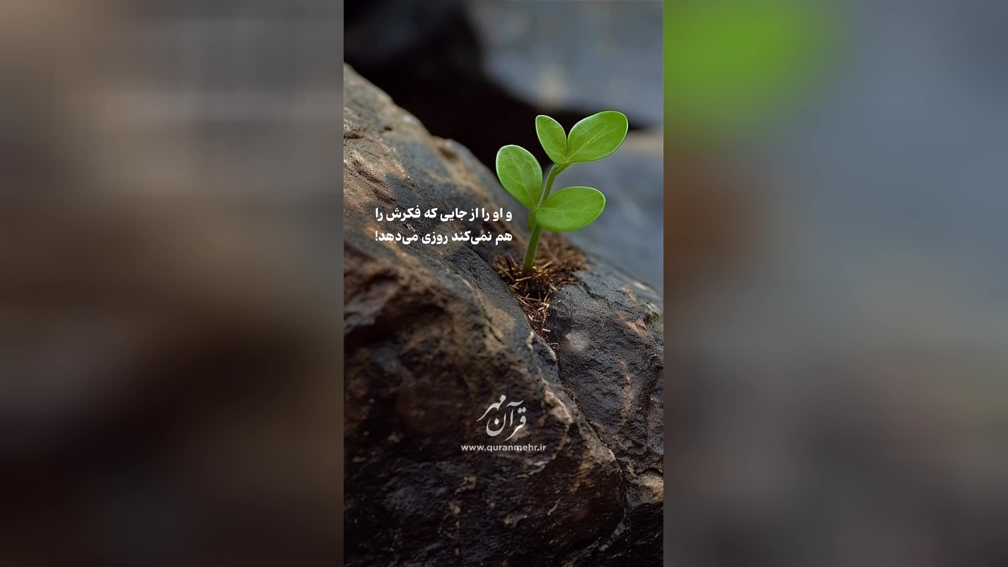 راه نجات - سوره طلاق آیات 2-3 (قرآن مهر)