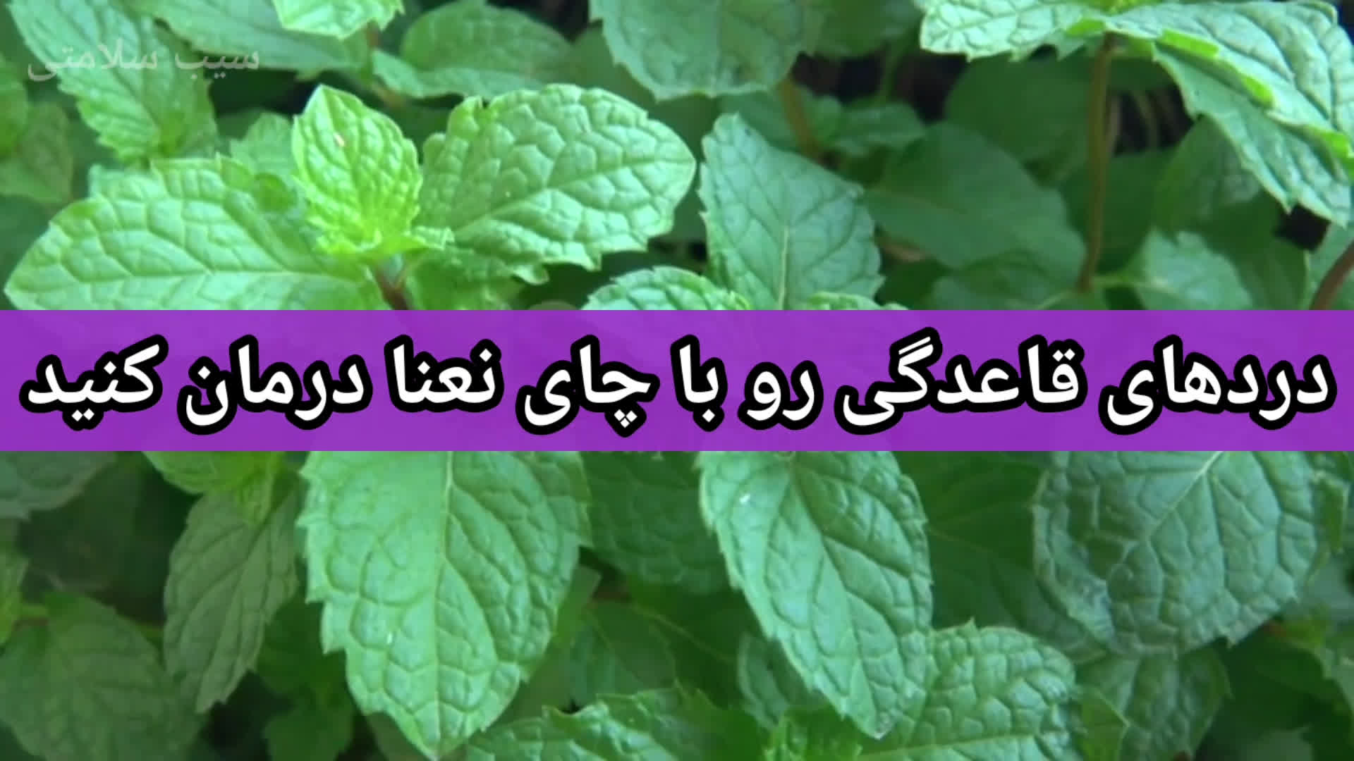 بهترین دمنوش‌ها: خواص شگفت‌انگیز دمنوش نعناع و تأثیر آن بر پیشگیری از سرطان