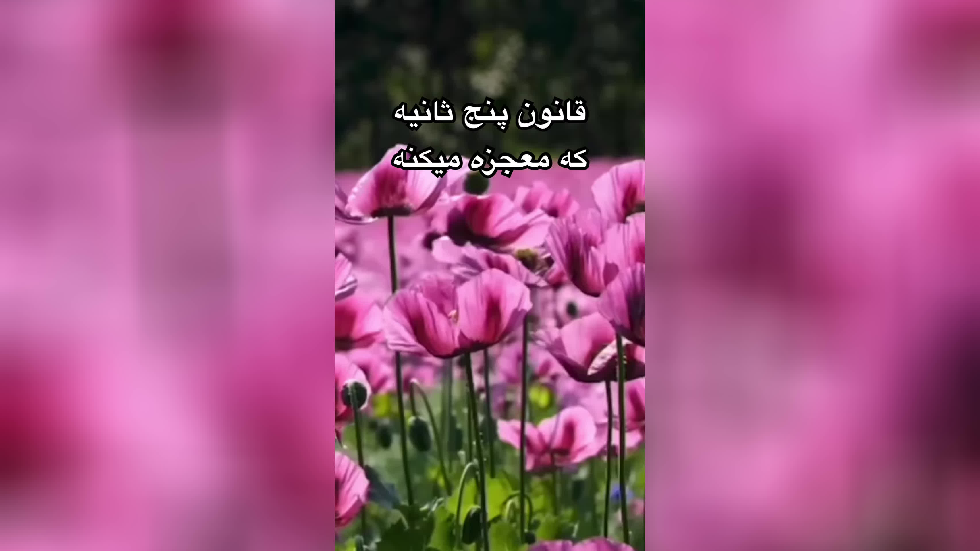 قانون پنج ثانیه که معجزه میکنه