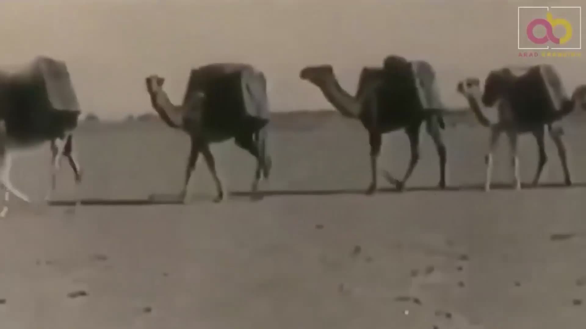جایگاه ما در تجارت در گذشته دور