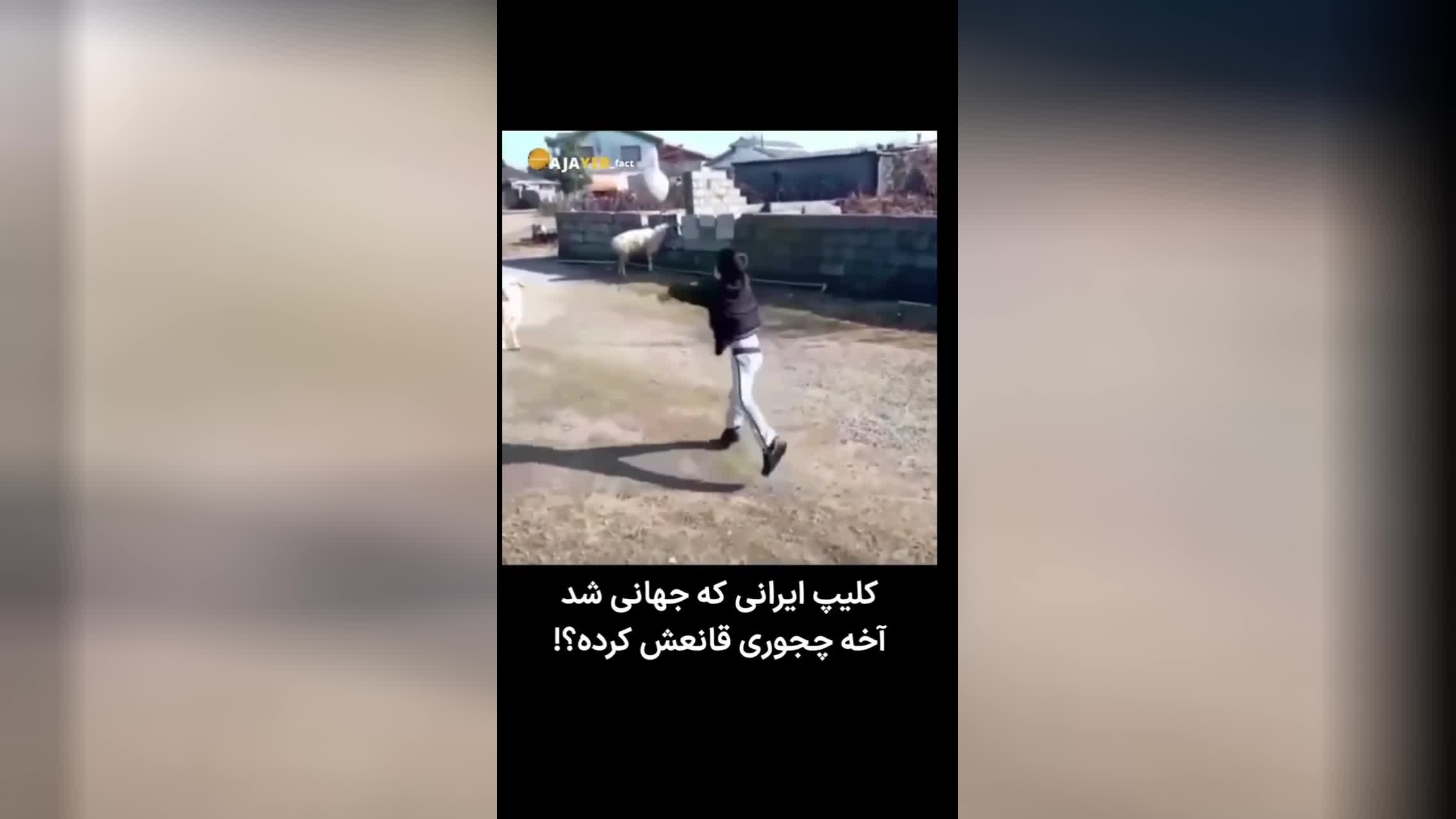 کلیپی که جهانی شد...