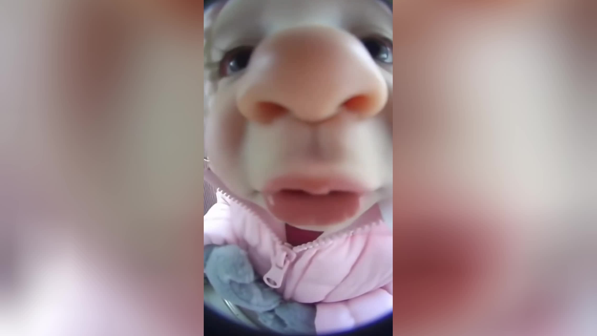 بچه بامزه و شیرین
