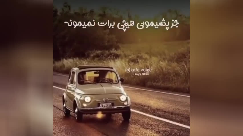 ارزش انسان ها