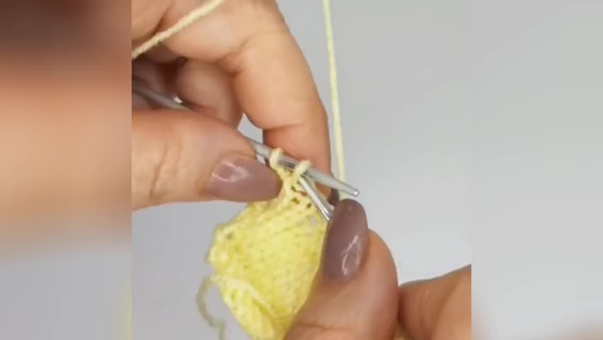 آموزش خرگوش