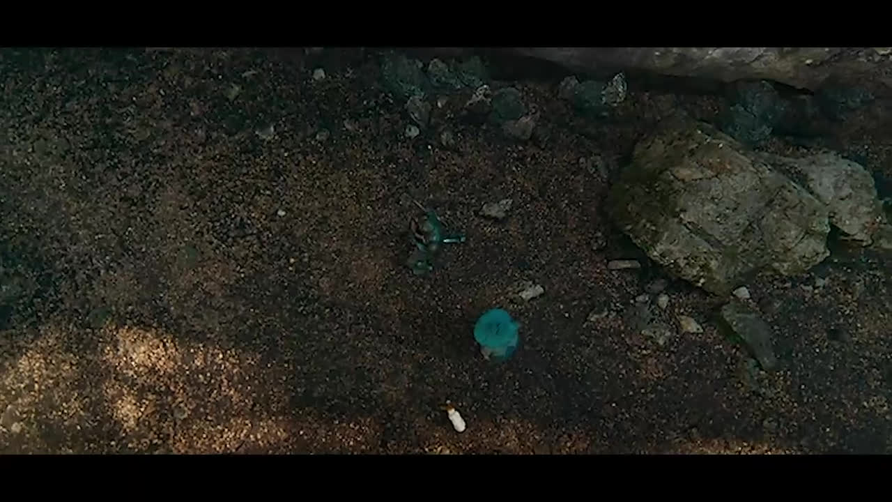 فیلم جادوگر شهر زمرد The Wizard of the Emerald City 2025 دوبله فارسی