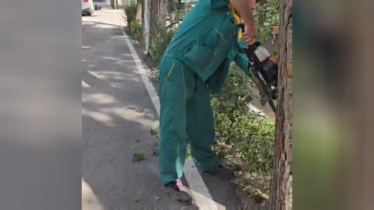 خدمات باغبانى در تهران