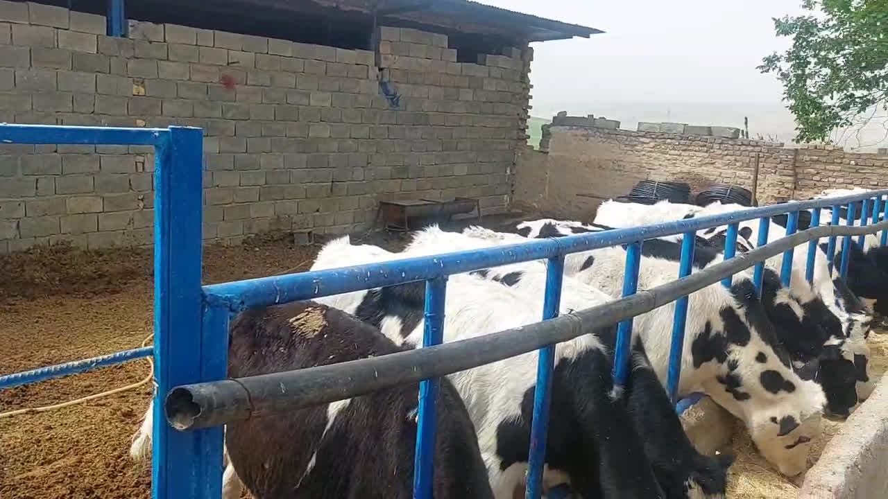 نصرت الله رشیدی کارآفرین لرستانی