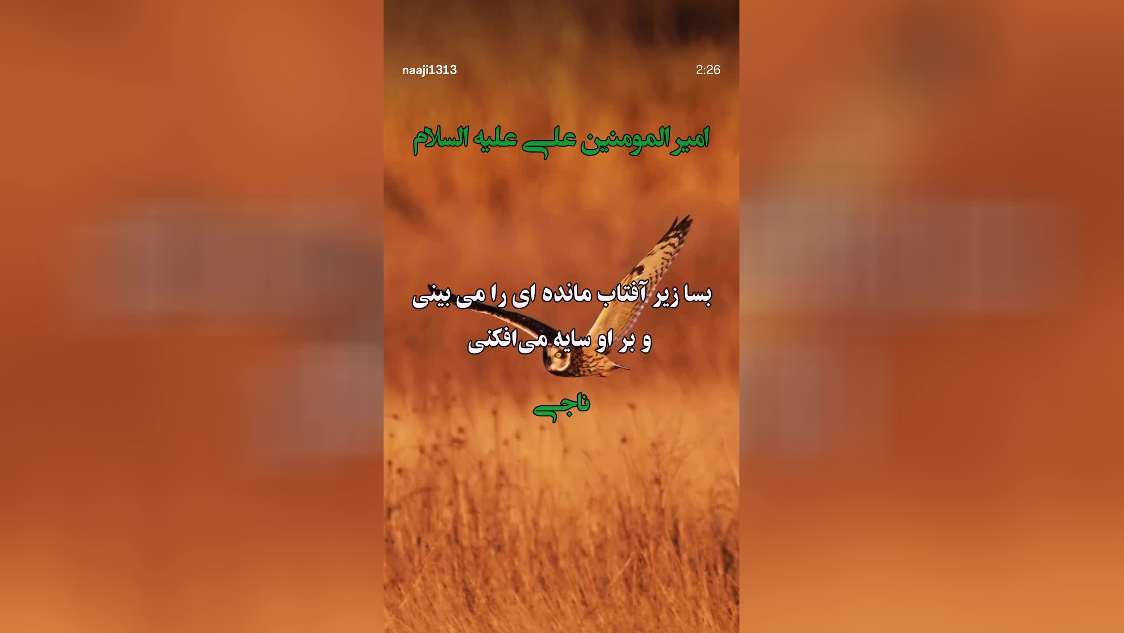کلیپ خیلی خوشگل از سخن امام‌ علی ع