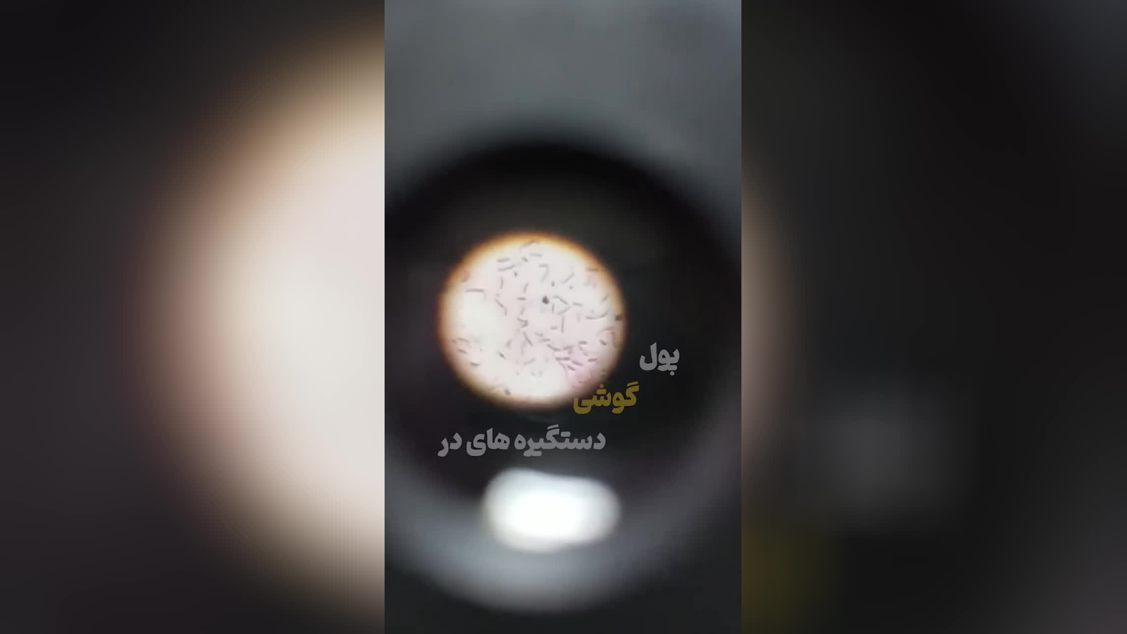 مراغبی؟