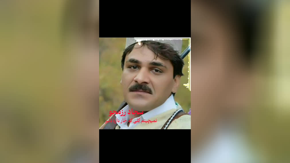 با صدای سجاد رزمجو ( نمیچینم گلی که خار داره دلبر )