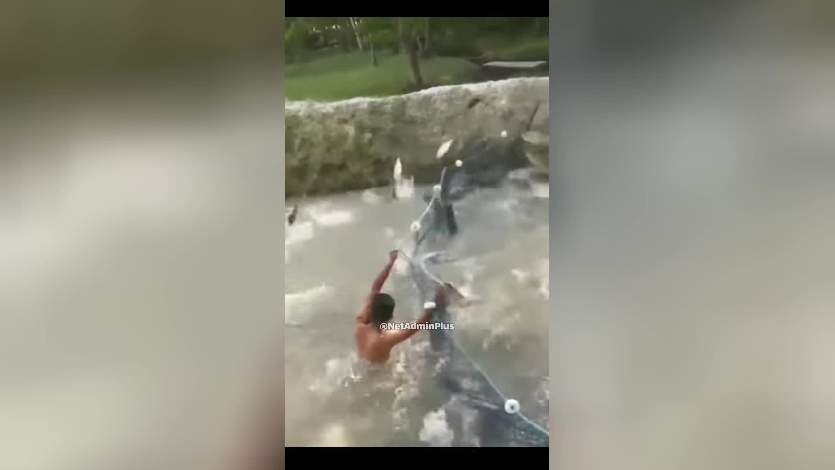 درک بهتر حمله DDoS 😂🐟🐠