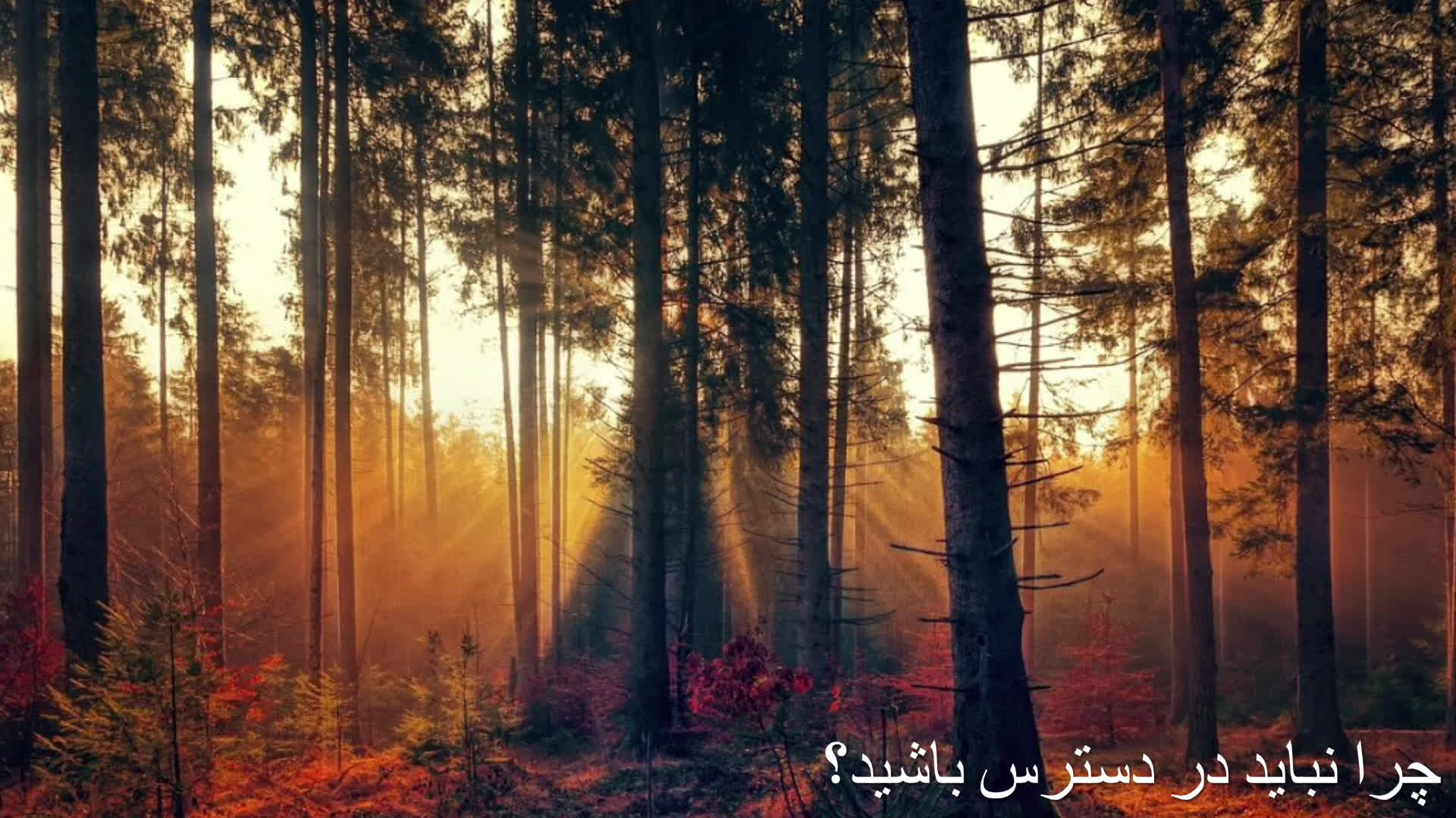 چرا همیشه در دسترس بودن باعث کاهش ارزش می‌شود؟