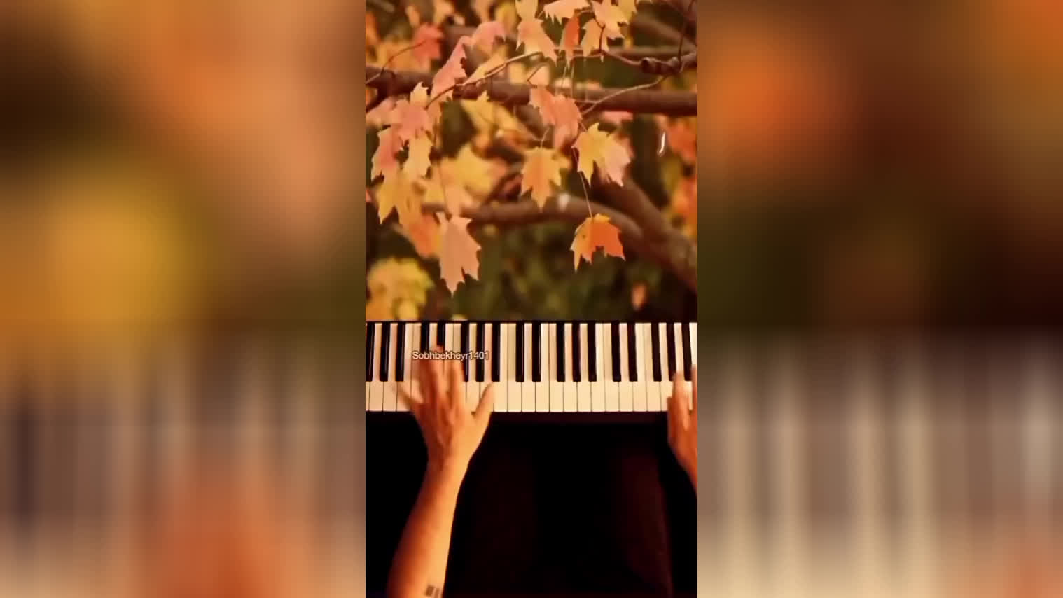 بهترین ها از آن شما