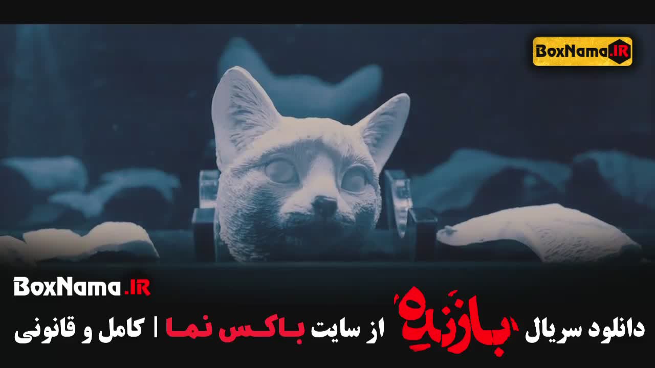 دانلود سریال بازنده (پلیسی - جنایی)