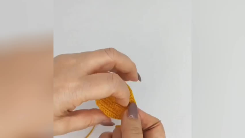آموزش خرگوش