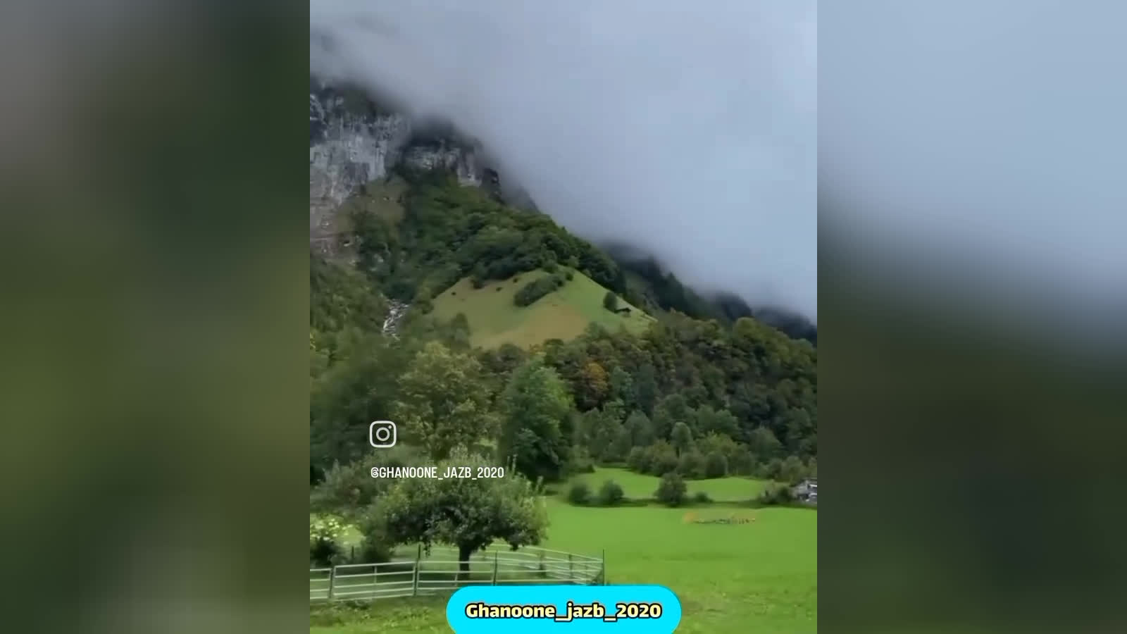واکنش درموردتهمت